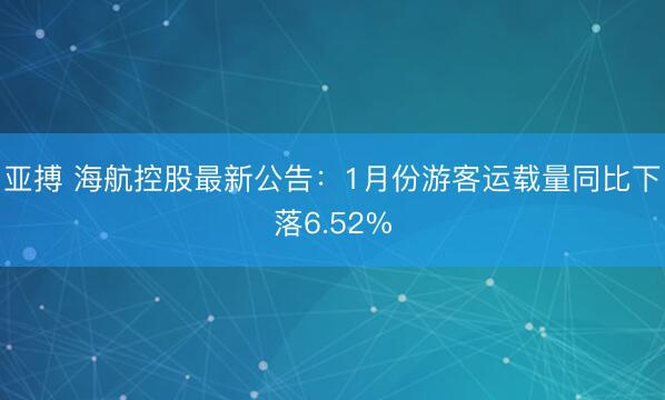 亚搏 海航控股最新公告：1月份游客运载量同比下落6.52%