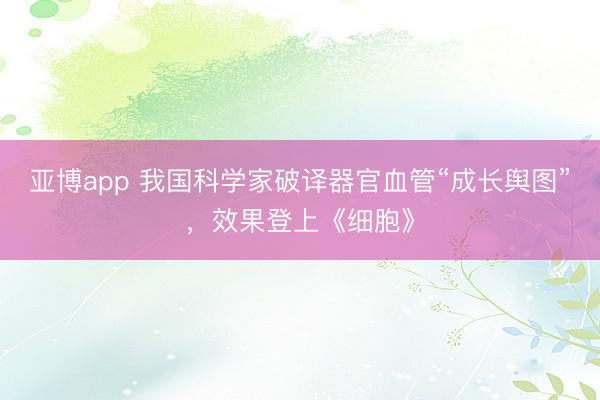 亚博app 我国科学家破译器官血管“成长舆图”，效果登上《细胞》