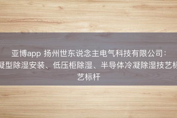 亚博app 扬州世东说念主电气科技有限公司：冷凝型除湿安装、低压柜除湿、半导体冷凝除湿技艺标杆